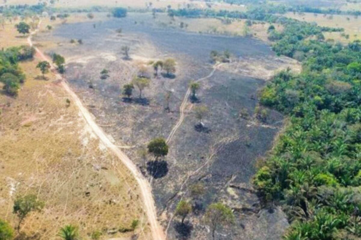 Imagem de compartilhamento para o artigo MP apura incêndio que queimou 162 hectares e atingiu cinco propriedades em Coxim da MS Todo dia